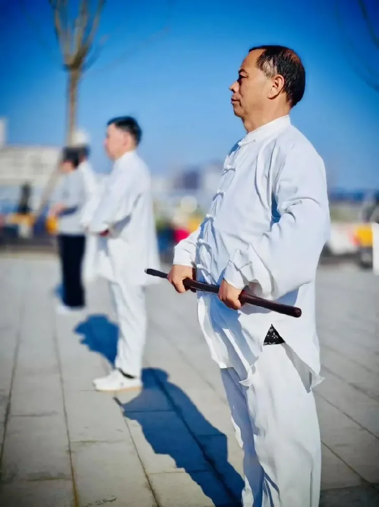 Comparison chart of Tai Chi movement versus Qi Gong stationary practice